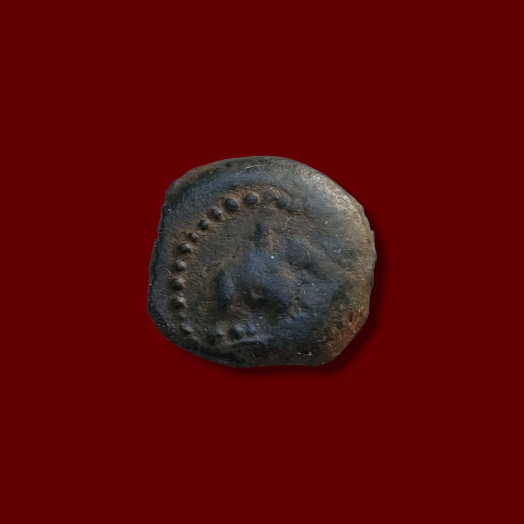 Obverse showing the facing bust of an elephant or symbolic royal figure under dotted border on ancient Seleucid bronze coin.