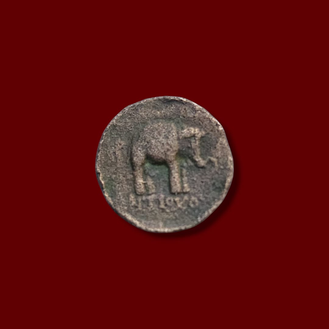 Reverse showing a large elephant standing right, with Seleucid Greek legend below on an ancient bronze coin.