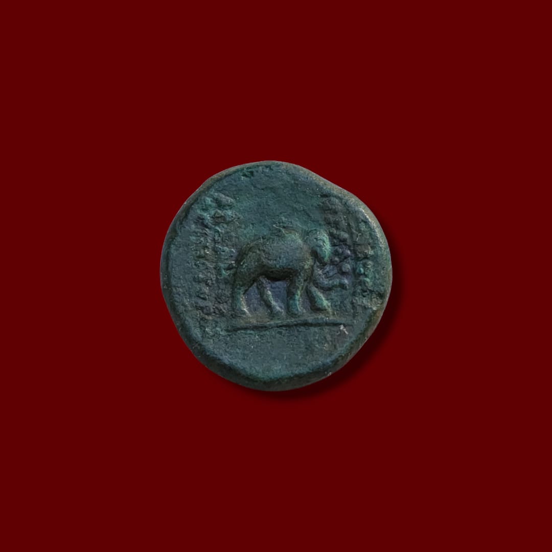 Ancient Parthian coin reverse showing a prominent elephant walking right with surrounding Aramaic/Greek legends.