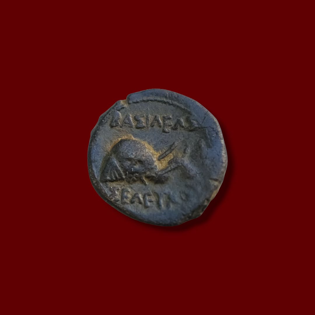 Ancient Seleucid coin reverse featuring an elephant walking right, with Greek inscription above.