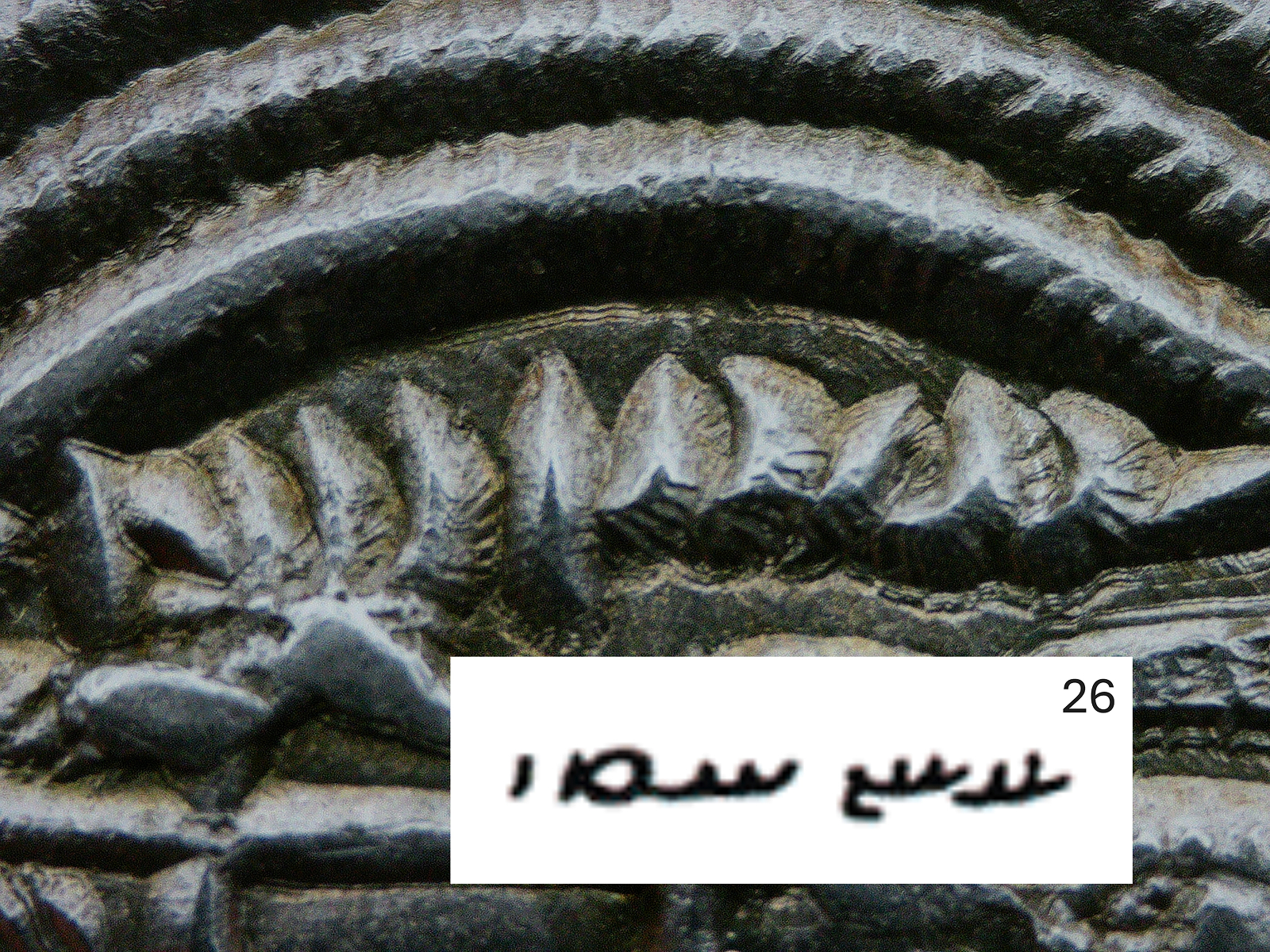 Regnal Year “26” on Sasanian Coin – Khusrau II Close-up of the regnal year “26” written in Pahlavi script on the reverse of a Sasanian silver drachm issued under Khusrau II.
